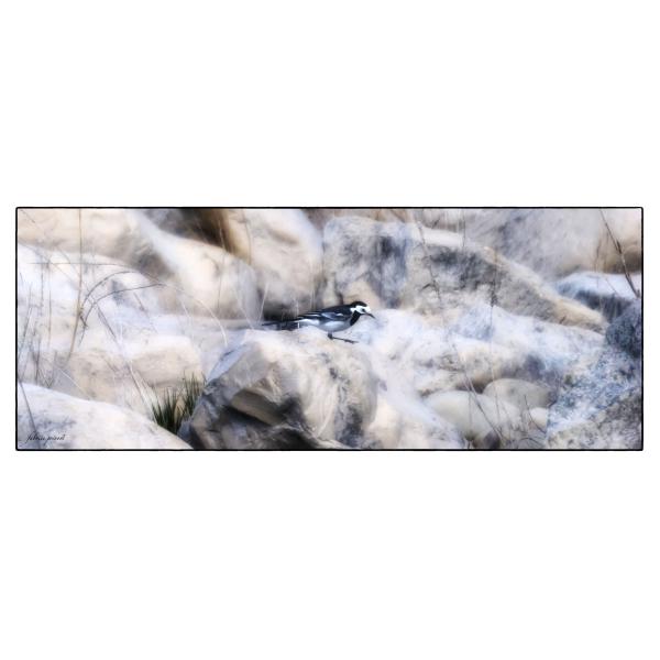 PHOTO84, CLUB, 84 , LUBERON